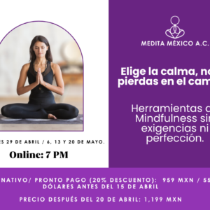 Curso: Elige la calma, no te pierdas en el camino