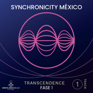 Transcendence Program